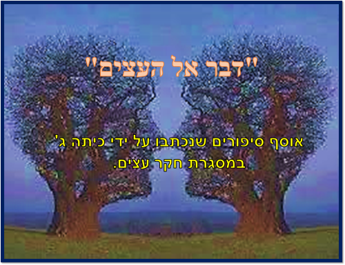 סיפורי עצים כיתה ג’ by galimord - Illustrated by תלמידי כיתה ג' בית ספר גוונים תשע