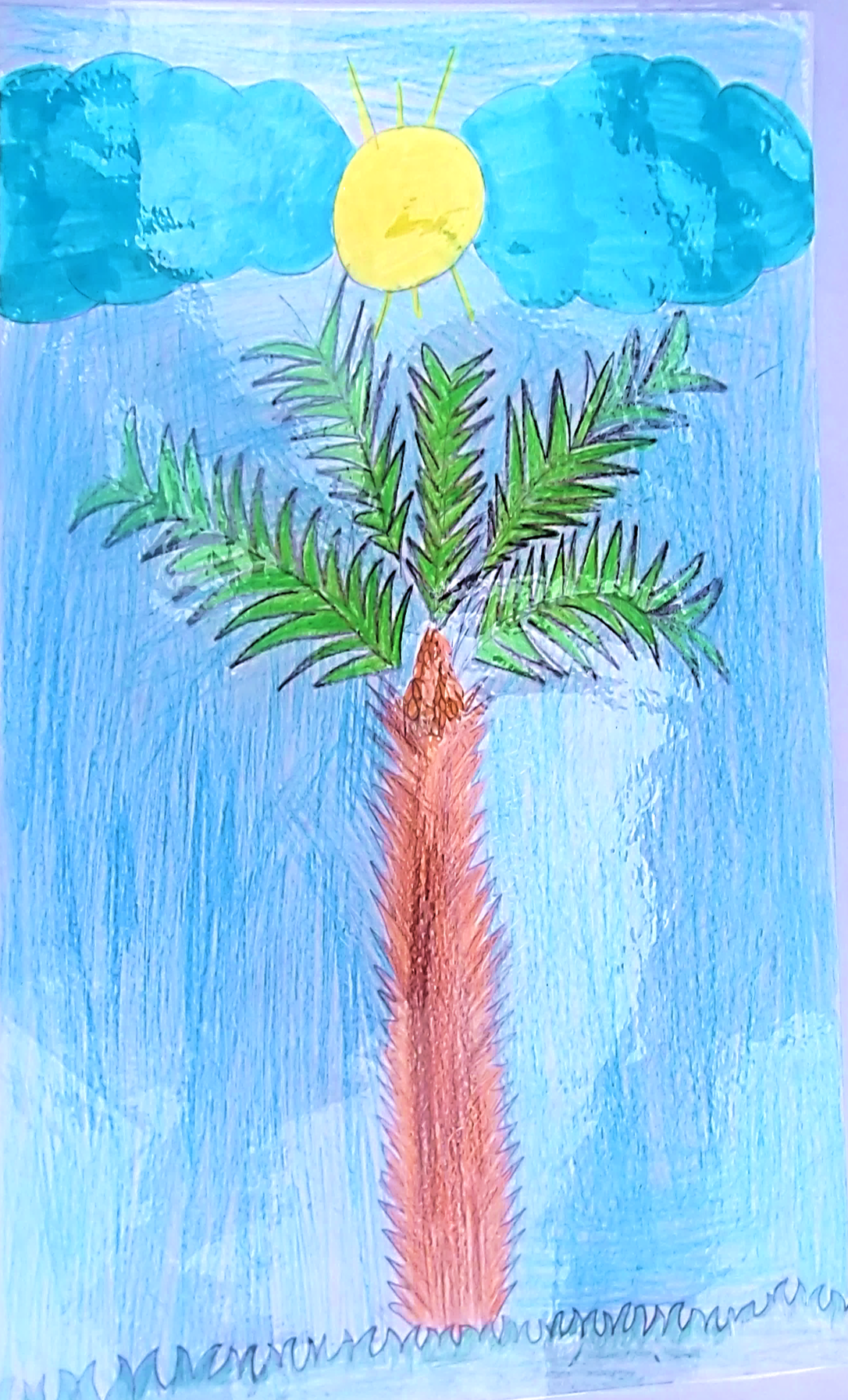 סיפורי עצים כיתה ג’ by galimord - Illustrated by תלמידי כיתה ג