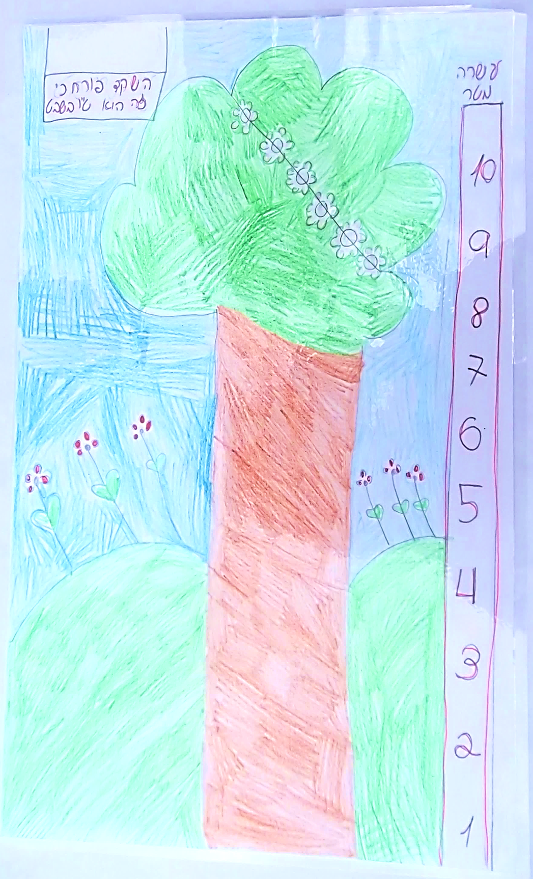 סיפורי עצים כיתה ג’ by galimord - Illustrated by תלמידי כיתה ג