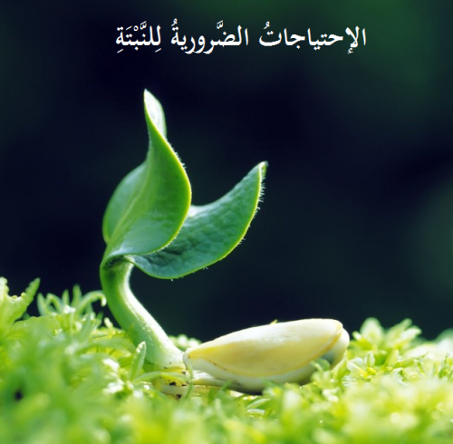 الاحتياجات الضرورية للنبتة by esraaanabossi - Illustrated by إسراء عنبوسي - Ourboox.com