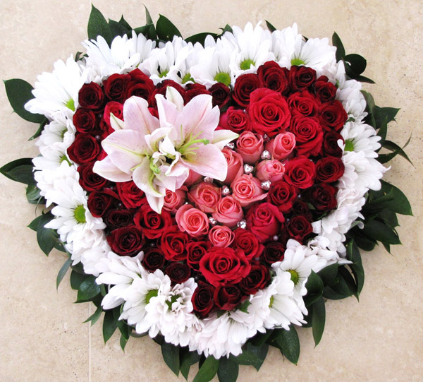 התפילות שלי מאי סאעת by may saat - Illustrated by מאי סאעת - Ourboox.com