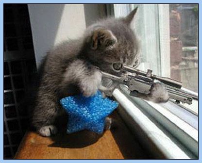 things by snir - Ourboox.com