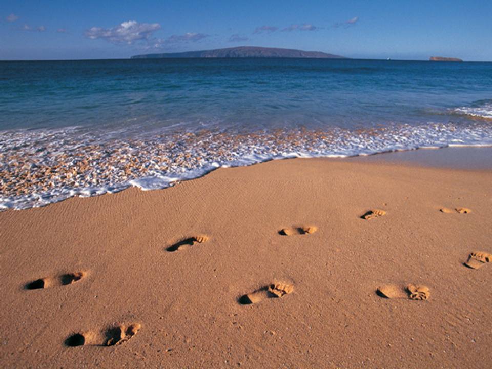 התפילות שבלב שירה סמוק by SHIRA SAMUK - Illustrated by שירה סמוק - Ourboox.com