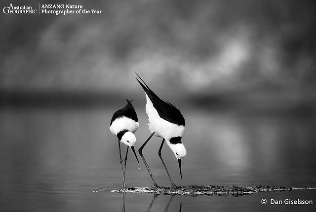 ספר התפילות של ליאל by liel - Illustrated by ליאל .ס.  - Ourboox.com