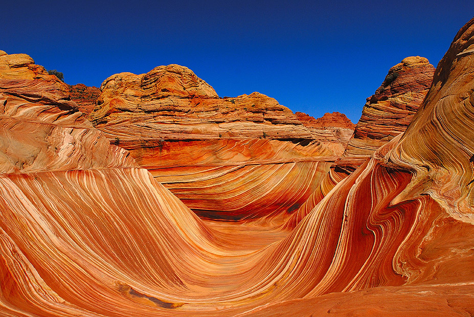 הסידור שלי by orisaada - Illustrated by אורי סעדה - Ourboox.com