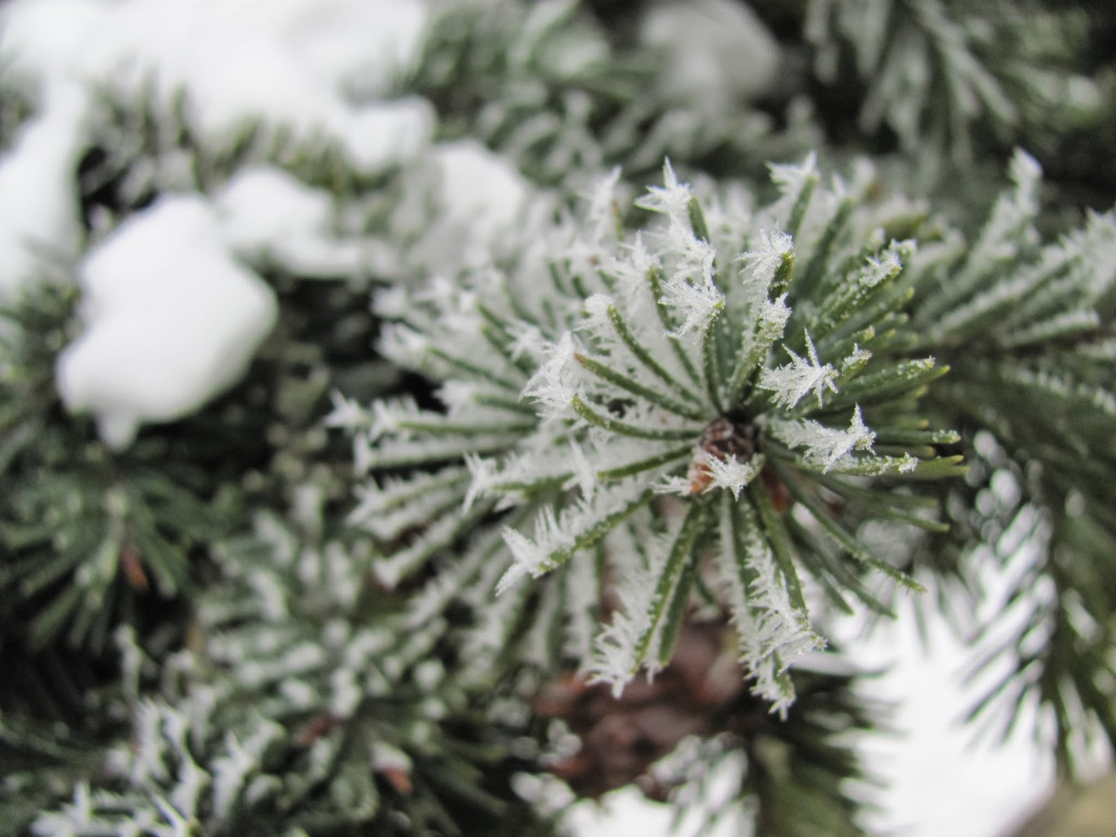 הסידור שלי by naama shiloah - Illustrated by נעמה שילוח Naama Shiloah - Ourboox.com