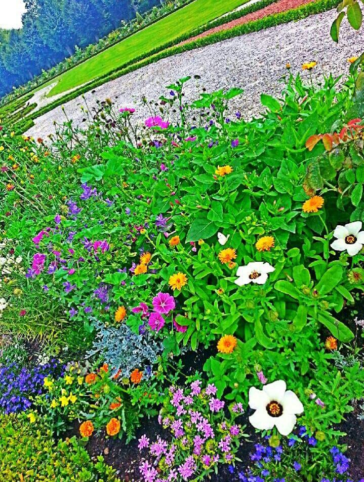 הסידור שלי by naama shiloah - Illustrated by נעמה שילוח Naama Shiloah - Ourboox.com