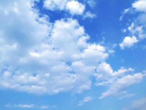 الاحتياجات الضرورية للنبتة by esraaanabossi - Illustrated by إسراء عنبوسي - Ourboox.com