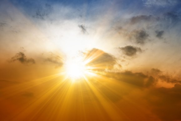 الاحتياجات الضرورية للنبتة by esraaanabossi - Illustrated by إسراء عنبوسي - Ourboox.com