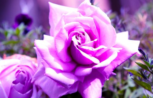 התפילות שלי מאי סאעת by may saat - Illustrated by מאי סאעת - Ourboox.com