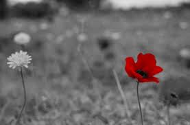 ספר התפילות שלי by SHAHAR AVIV - Illustrated by שחר אביב - Ourboox.com