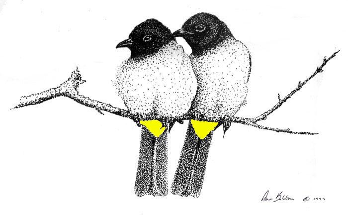 ספר התפילות של ליאל by liel - Illustrated by ליאל .ס.  - Ourboox.com