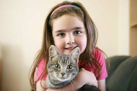 The Nyan Cat by alice - Illustrated by Alice Matiushkina - Ourboox.com