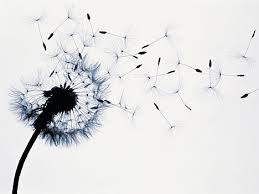 Découvrez-moi! by Baban Giulia - Illustrated by Baban Giulia - Ourboox.com