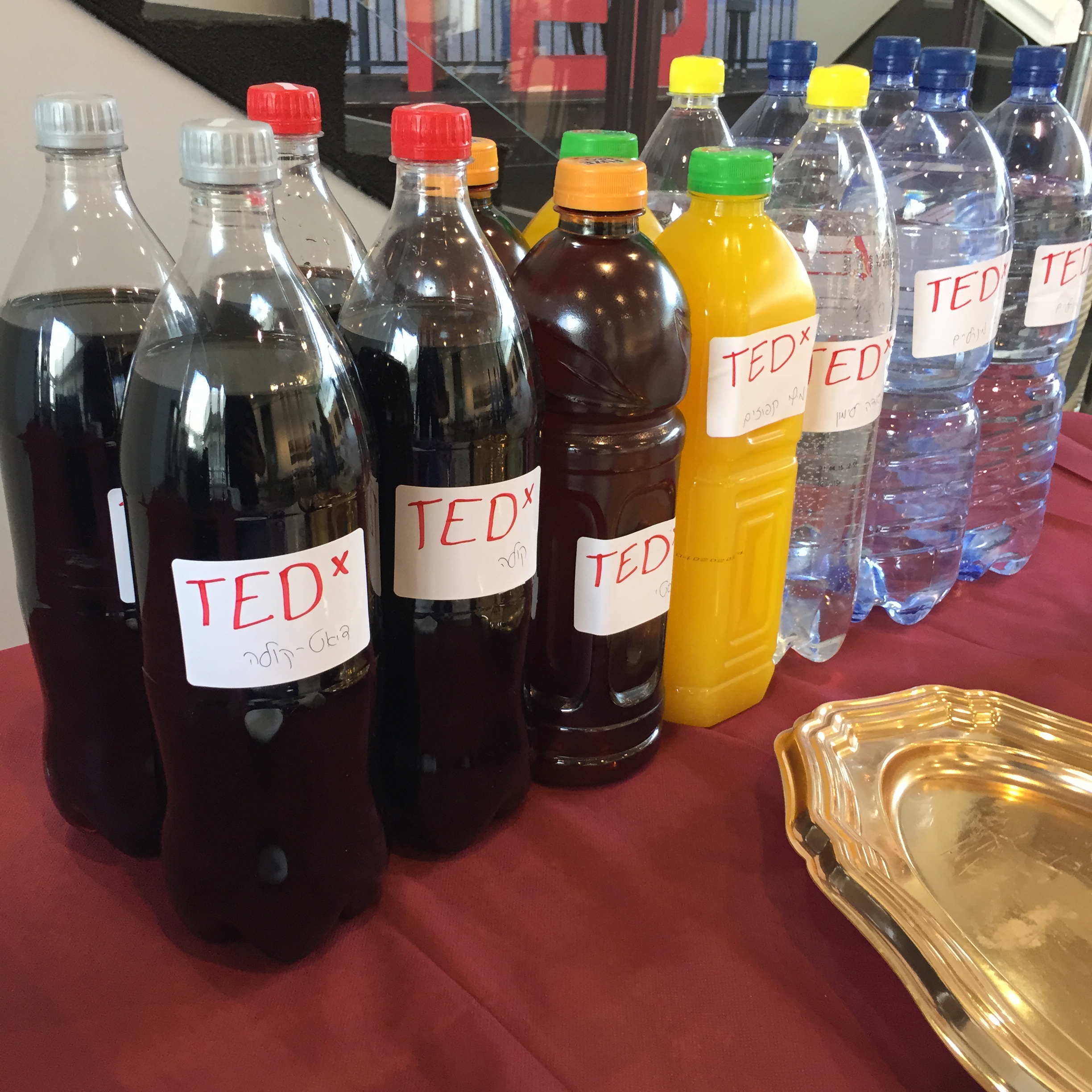 A TEDx that was definitely different by Mel Rosenberg - מל רוזנברג - Ourboox.com