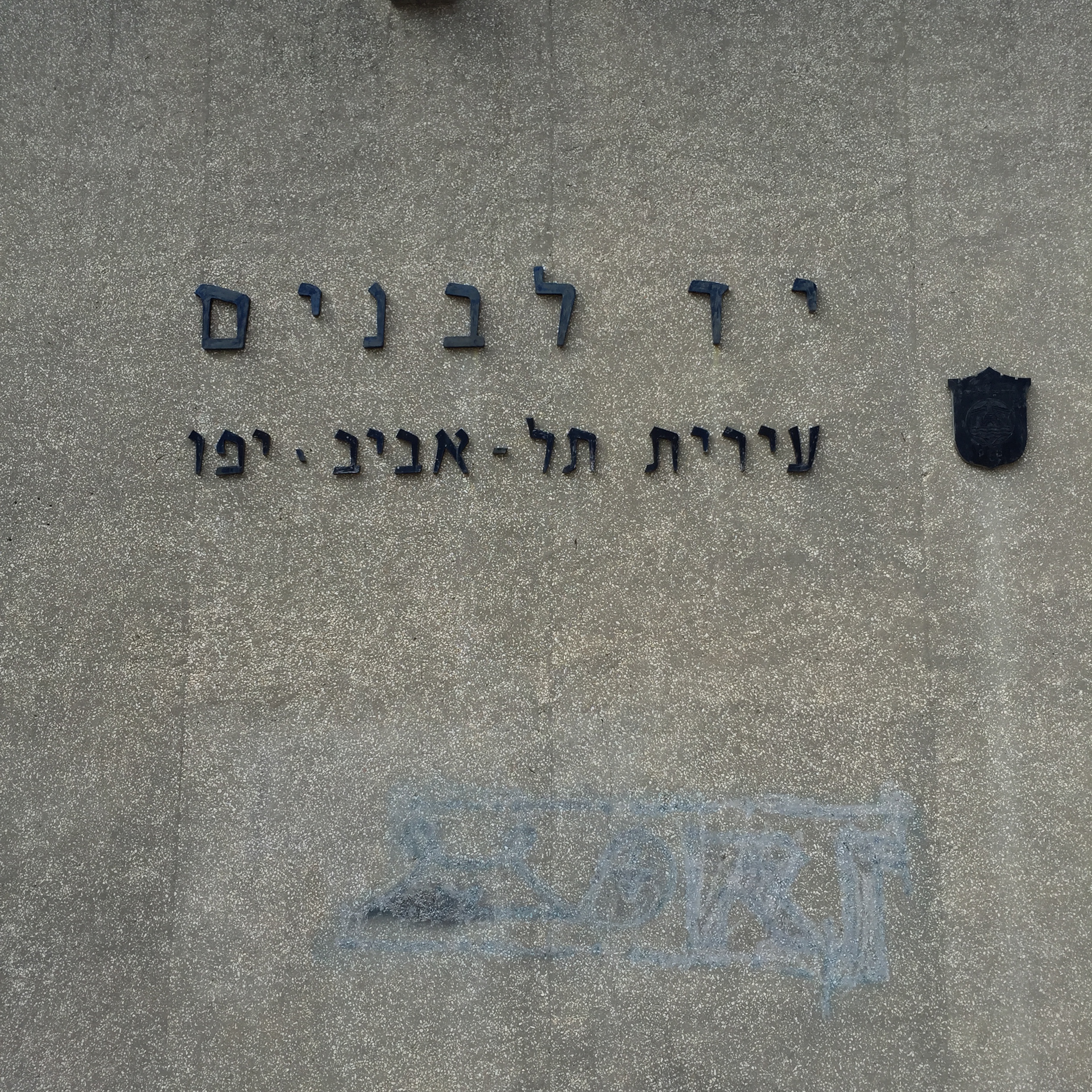 A TEDx that was definitely different by Mel Rosenberg - מל רוזנברג - Ourboox.com