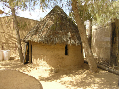 סיפורי המשפחה שלי by אילן - Illustrated by כתבה רהות, כיתה ג