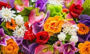 פ ר ח י ם by emuna - Illustrated by אמונה כהן - Ourboox.com