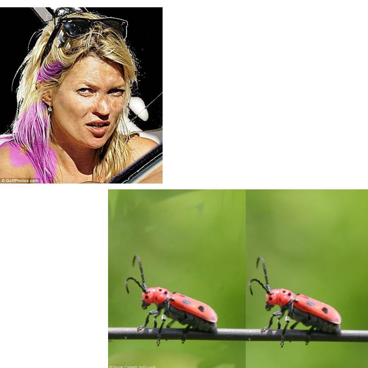 פיקסלר של אור חנה כיתה ח by Lehava Or Yehuda - Illustrated by להב"ה אור יהודה - Ourboox.com