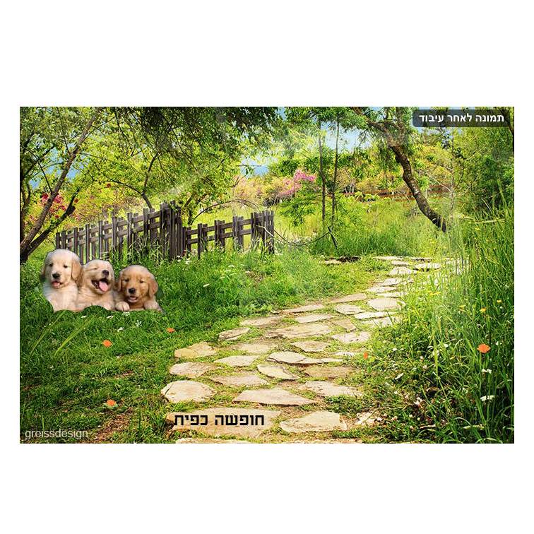 פיקסלר של אור חנה כיתה ח by Lehava Or Yehuda - Illustrated by להב"ה אור יהודה - Ourboox.com