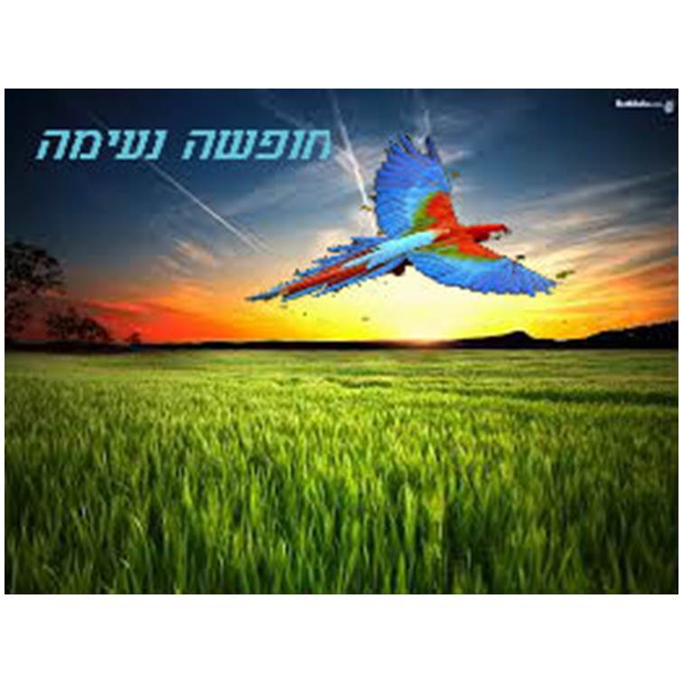 פיקסלר של אור חנה כיתה ח by Lehava Or Yehuda - Illustrated by להב"ה אור יהודה - Ourboox.com