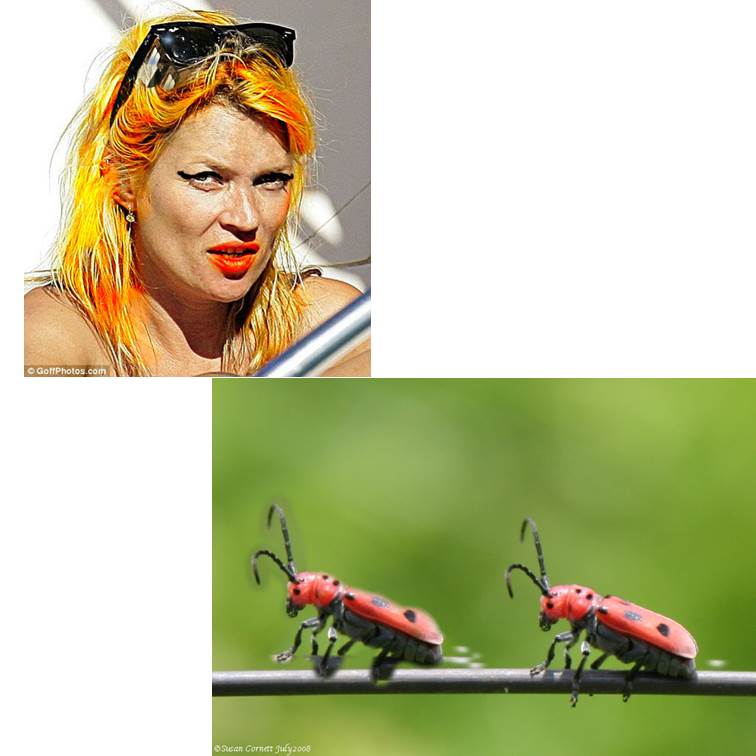 פיקסלר של אור חנה כיתה ז by Lehava Or Yehuda - Illustrated by להב"ה אור יהודה - Ourboox.com