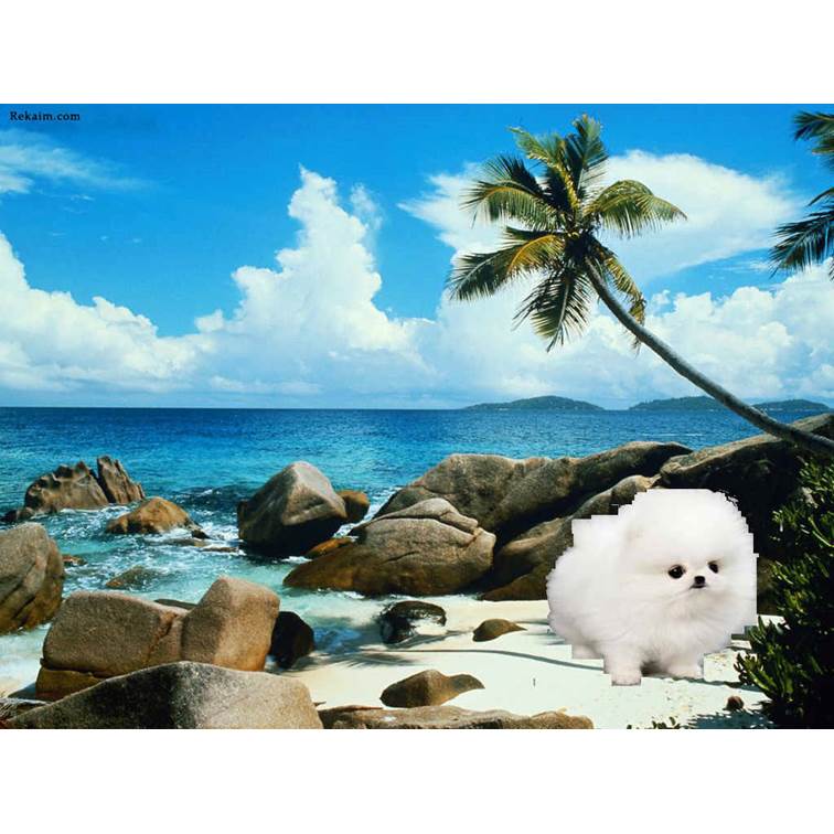 פיקסלר של אור חנה כיתה ז by Lehava Or Yehuda - Illustrated by להב"ה אור יהודה - Ourboox.com