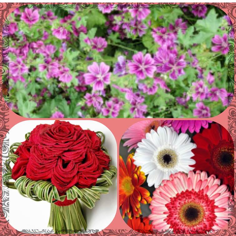 פיקסלר של אור חנה כיתה ז by Lehava Or Yehuda - Illustrated by להב"ה אור יהודה - Ourboox.com