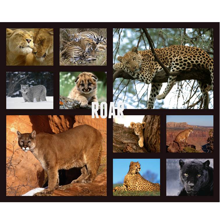 פיקסלר של אור חנה כיתה ז by Lehava Or Yehuda - Illustrated by להב"ה אור יהודה - Ourboox.com