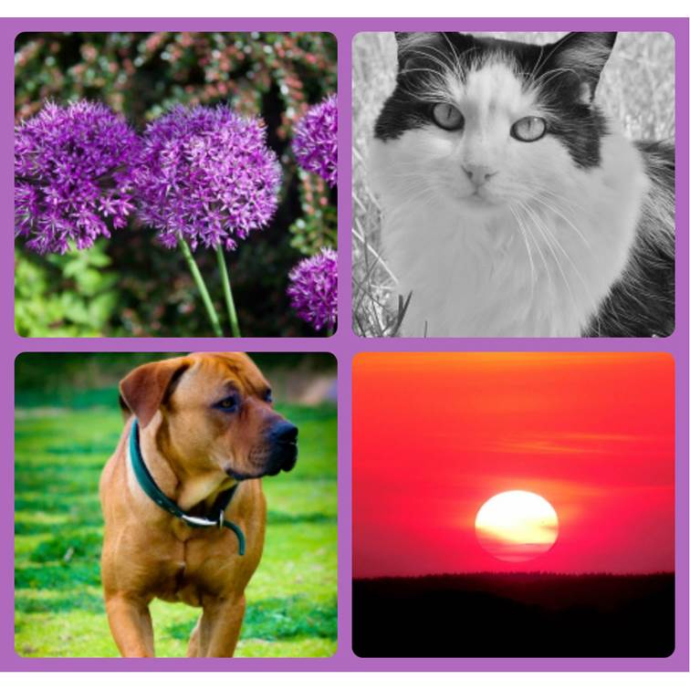 פיקסלר של אור חנה כיתה ח by Lehava Or Yehuda - Illustrated by להב"ה אור יהודה - Ourboox.com