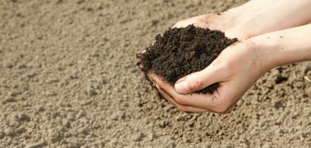 التيمم by faten - Ourboox.com