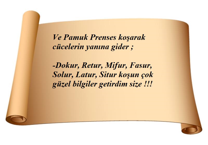 Masallar Diyarında Müzik by Mine Şahin - Illustrated by Seda Tuncel, Mine Şahin, Bağde Yılmaz, Melbe Gizem Saraç, Özkan Akgün - Ourboox.com