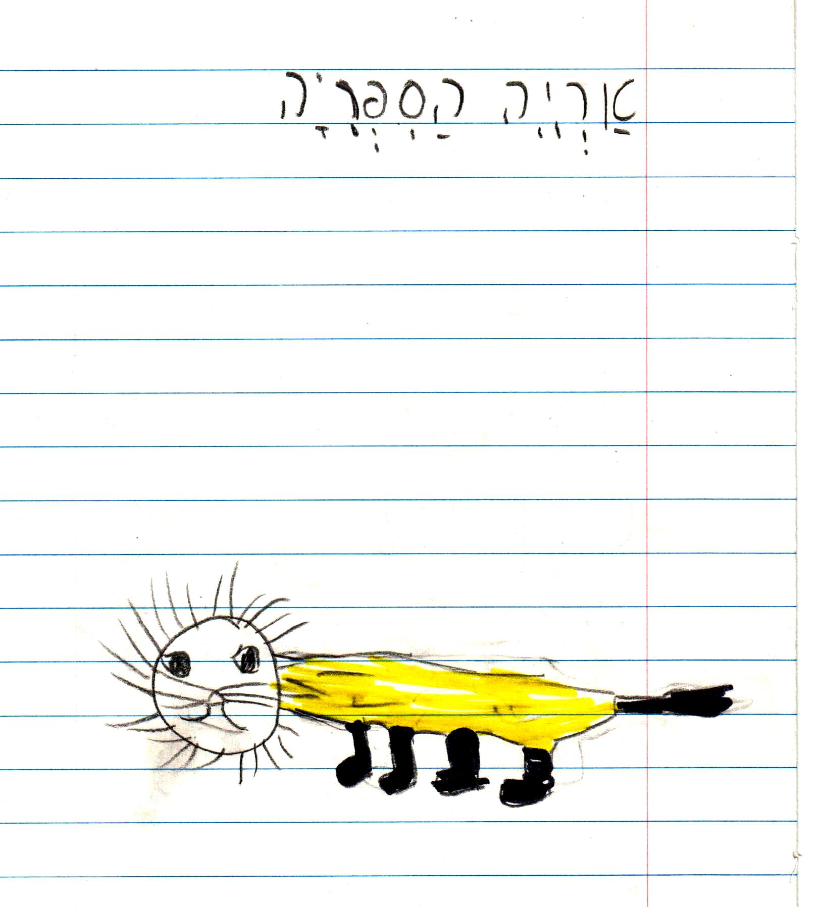 כתיבה של המלצה לספר, דו שייח וסוף אחר לסיפור אריה הספריה by אילן - Illustrated by כתבו וציירו תלמידי א