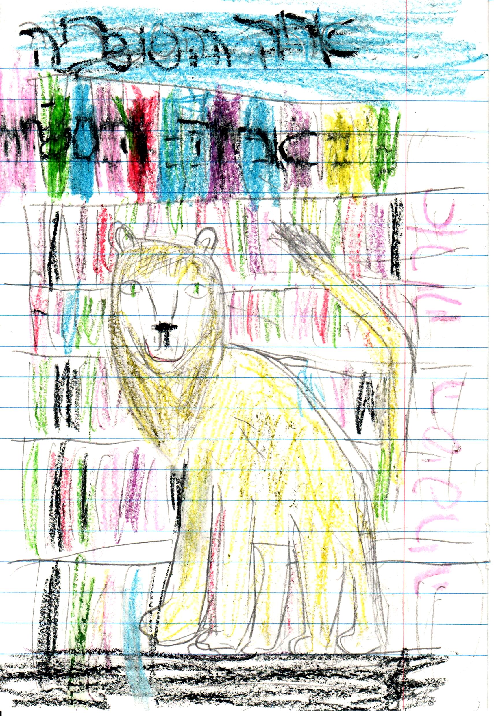 כתיבה של המלצה לספר, דו שייח וסוף אחר לסיפור אריה הספריה by אילן - Illustrated by כתבו וציירו תלמידי א