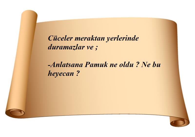 Masallar Diyarında Müzik by Mine Şahin - Illustrated by Seda Tuncel, Mine Şahin, Bağde Yılmaz, Melbe Gizem Saraç, Özkan Akgün - Ourboox.com