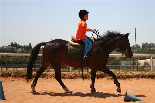 חופש גדול by pnina - Illustrated by כתב ואייר:פנינה סוליימנוב - Ourboox.com