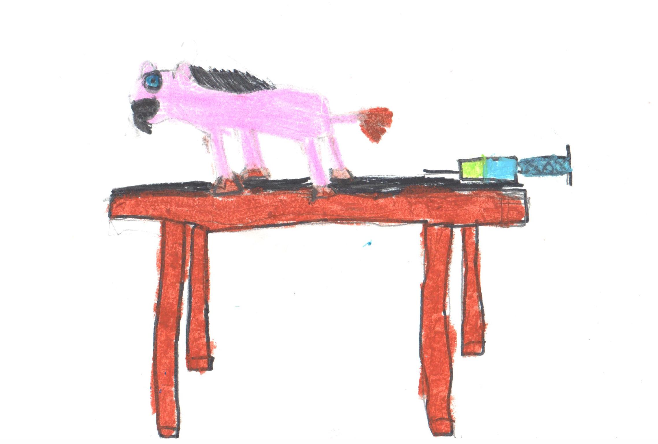 הכלב המיוחד by אילן  - Illustrated by כתבו וציירו תלמידי כיתה ג