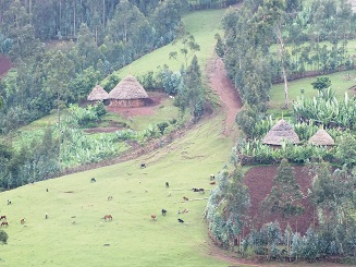 סיפורי המשפחה שלי by אילן - Illustrated by כתבה רהות, כיתה ג