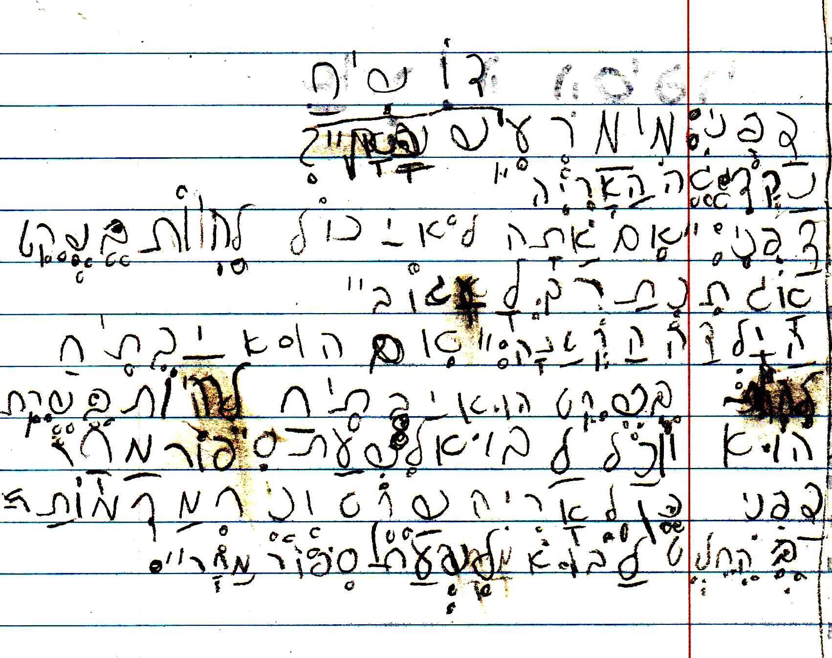 כתיבה של המלצה לספר, דו שייח וסוף אחר לסיפור אריה הספריה by אילן - Illustrated by כתבו וציירו תלמידי א