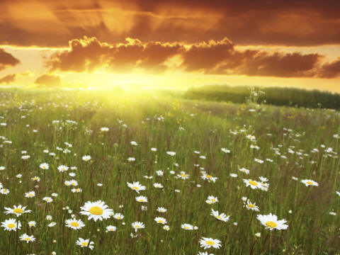 חלומות by adi hayik - Ourboox.com