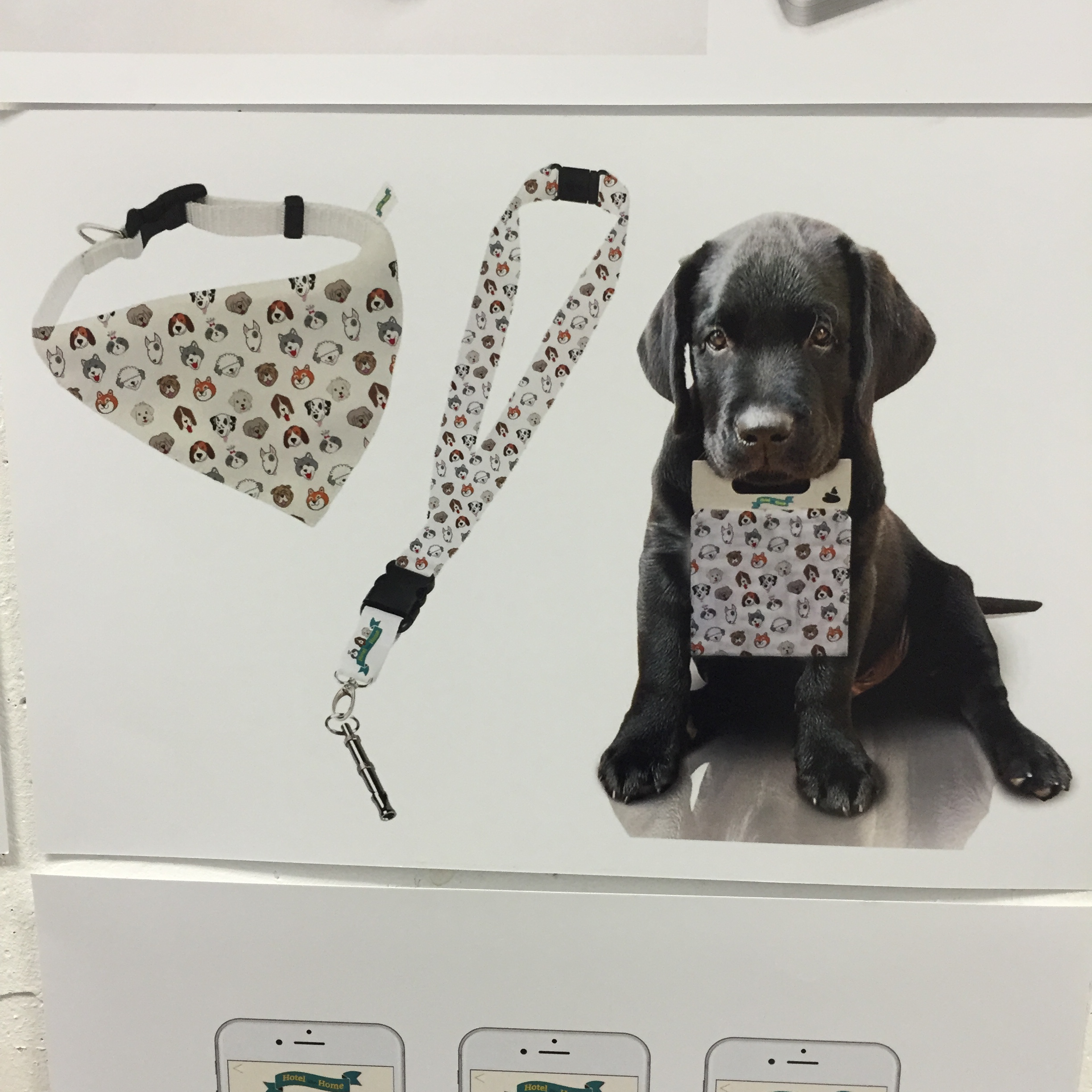 Branding 101 by Mel Rosenberg - מל רוזנברג - Ourboox.com