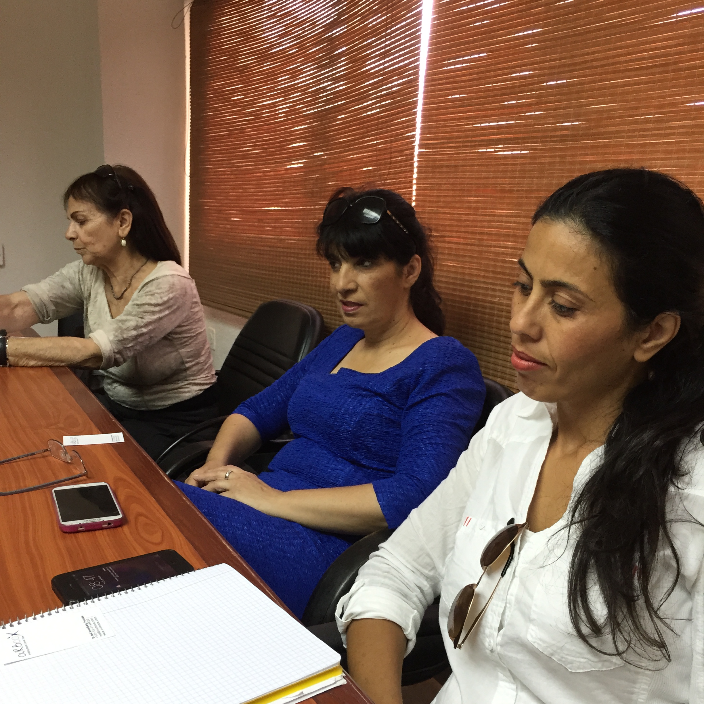 דימונה, ביקור ראשון by Mel Rosenberg - מל רוזנברג - Ourboox.com