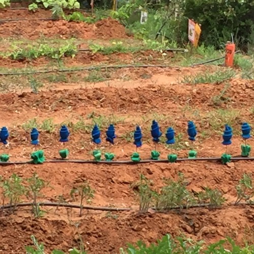 Oraculous Or Yehuda! by Mel Rosenberg - מל רוזנברג - Ourboox.com