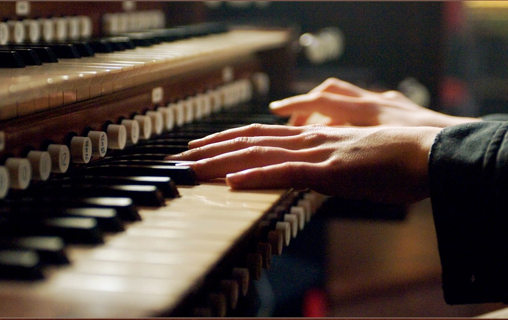 ENSTRÜMANLARI TANIYORUM SEMİH SARIHAN BERKE AKIN SEDA KÜKÜRTÇÜ by semih sarıhan - Ourboox.com