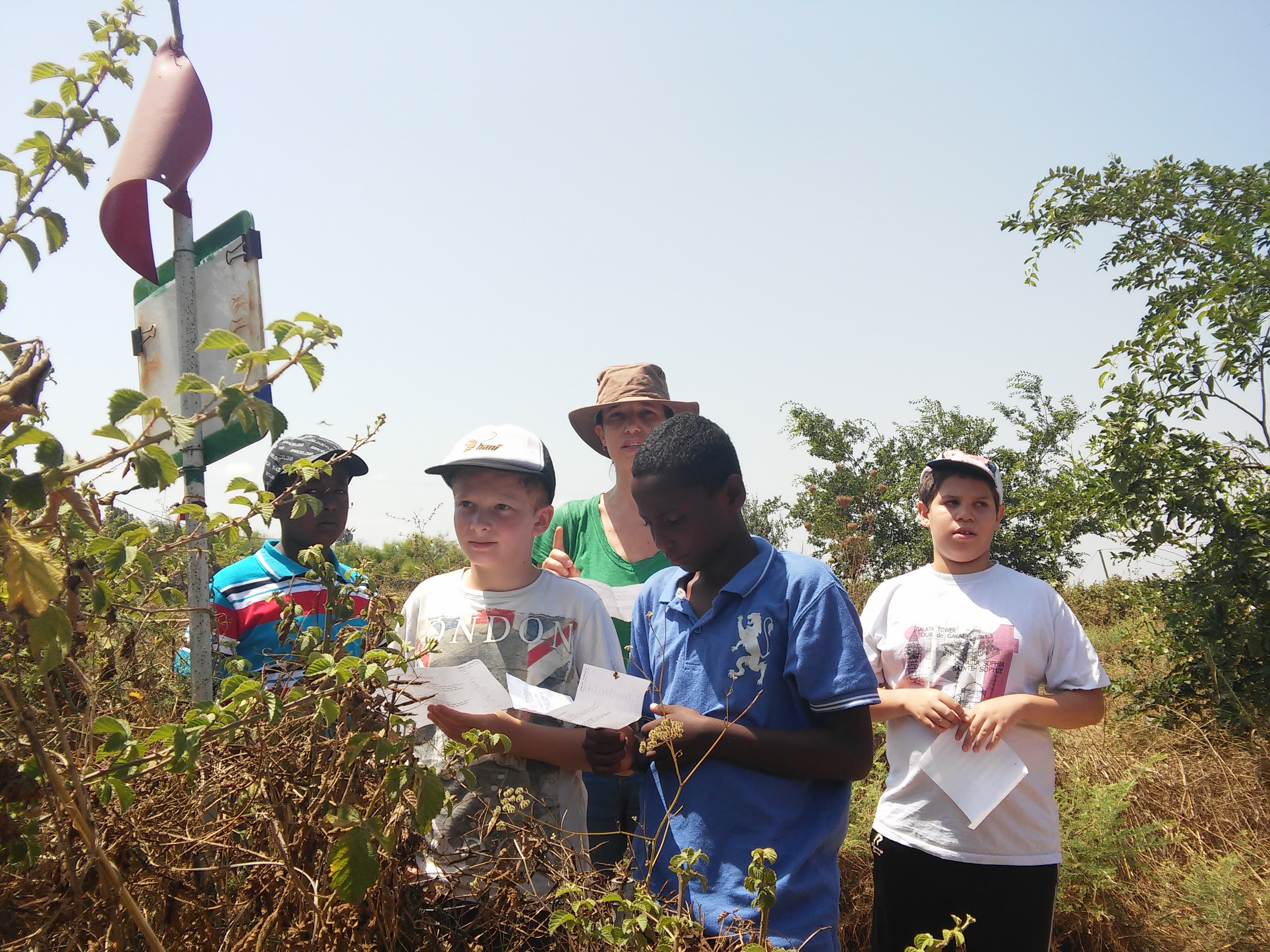 קיטנה אריקה by ari - Ourboox.com