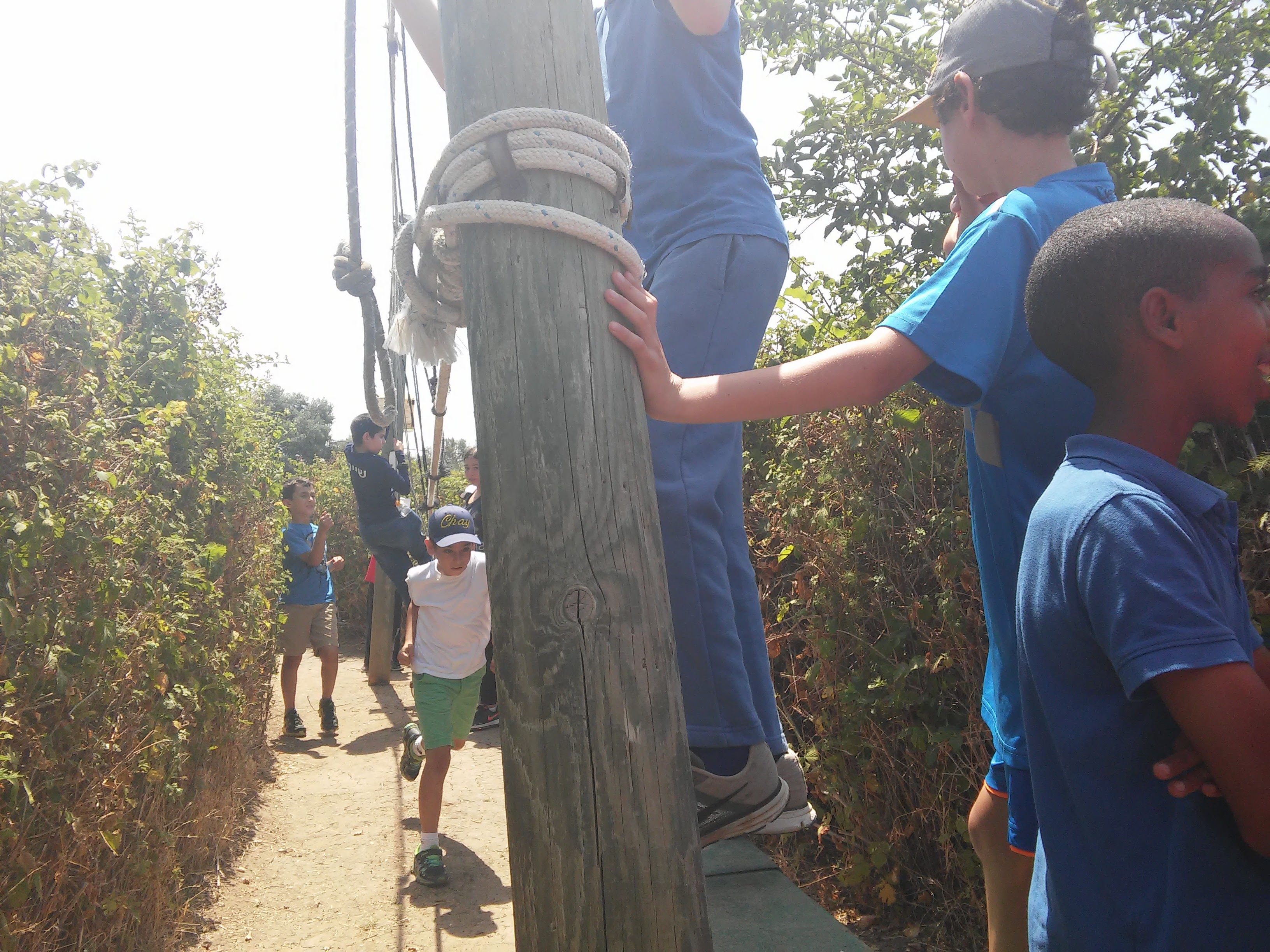 קיטנה אריקה by ari - Ourboox.com