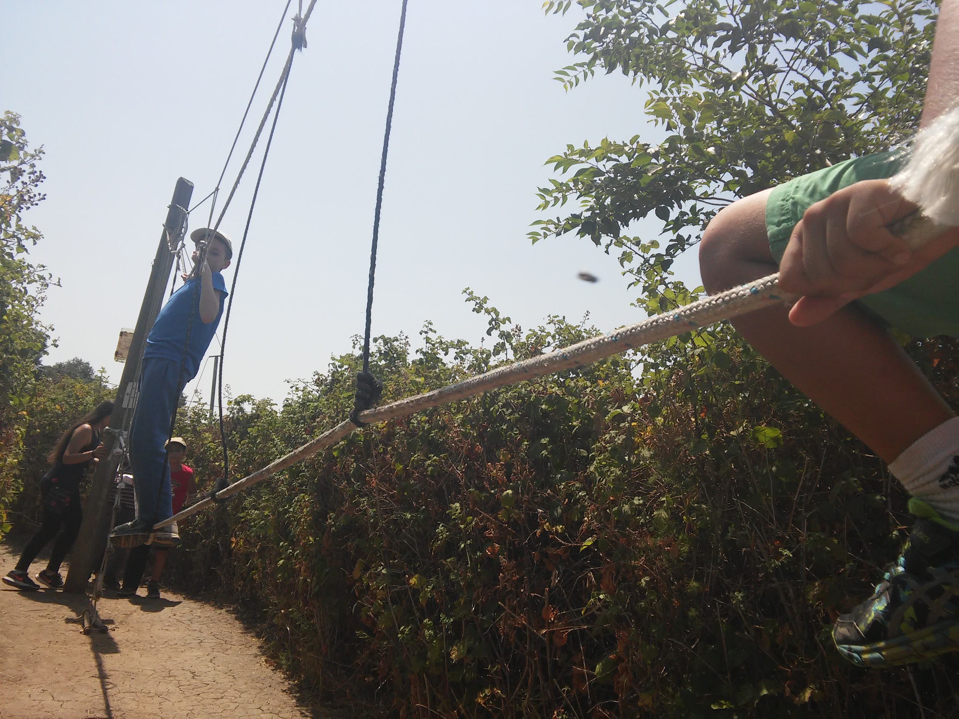 shay daily summer vecation by shay daily - Illustrated by shay daily - Ourboox.com