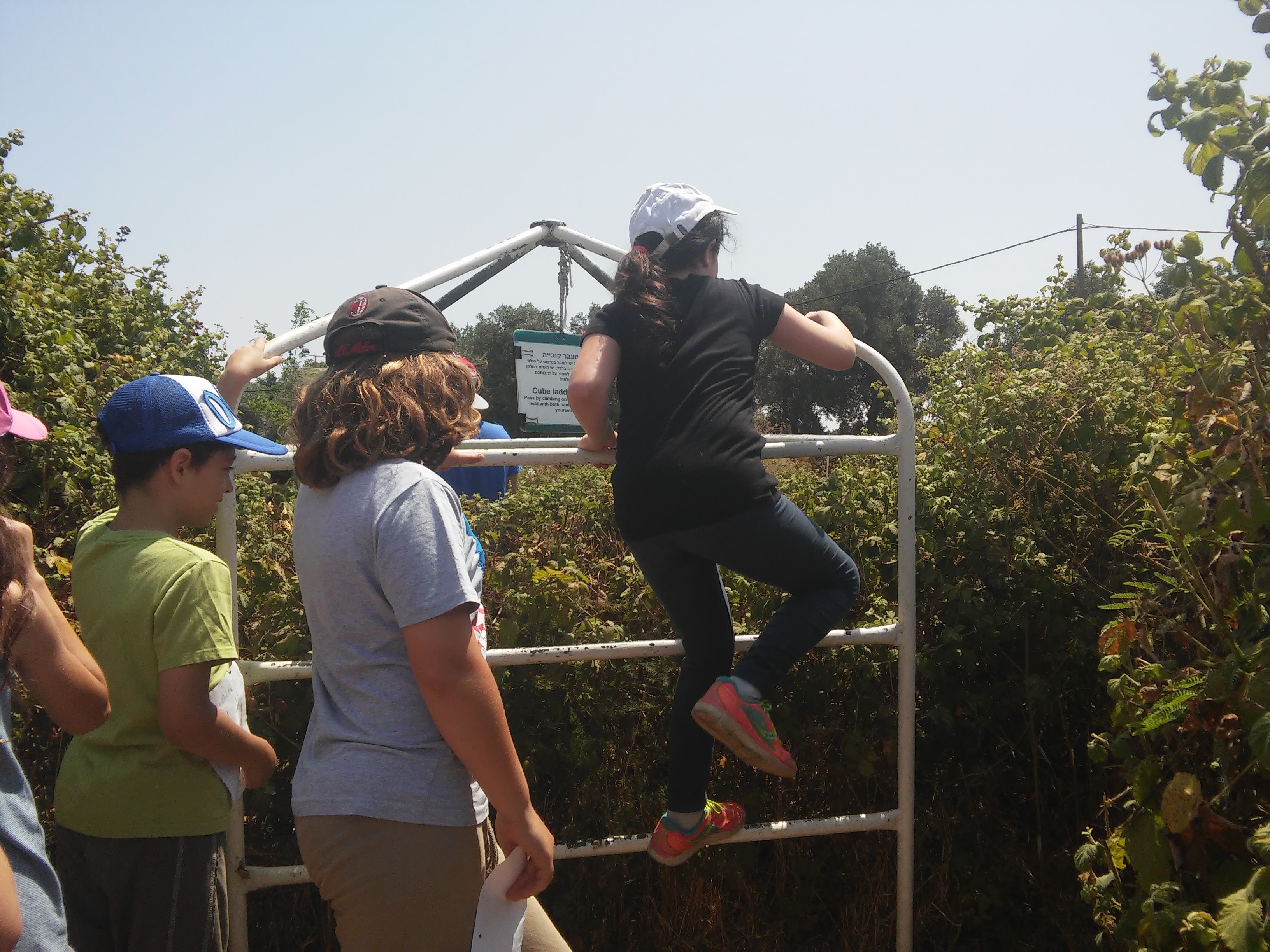 קיטנה אריקה by ari - Ourboox.com