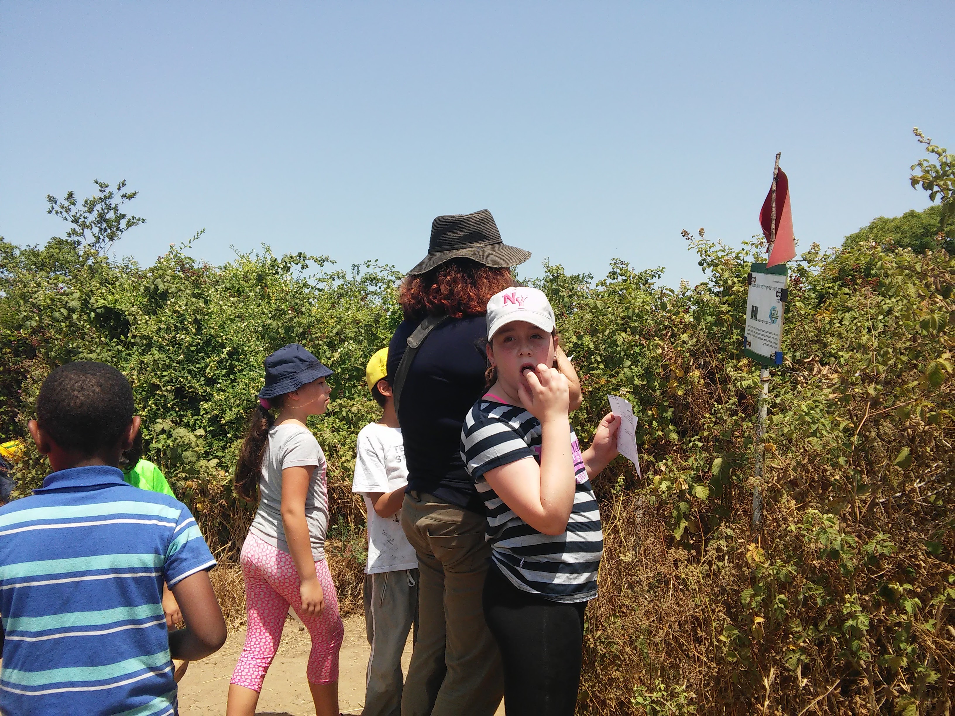 קיטנה אריקה by ari - Ourboox.com