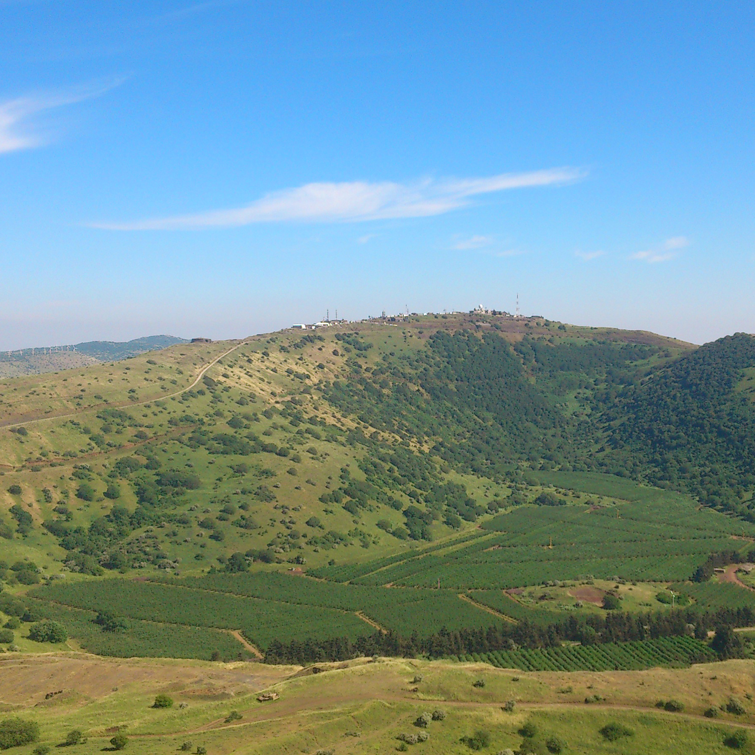 Internship at Holon Institute of Technology in Israel by Filip Dioszegi - Illustrated by Filip Dioszegi - Ourboox.com